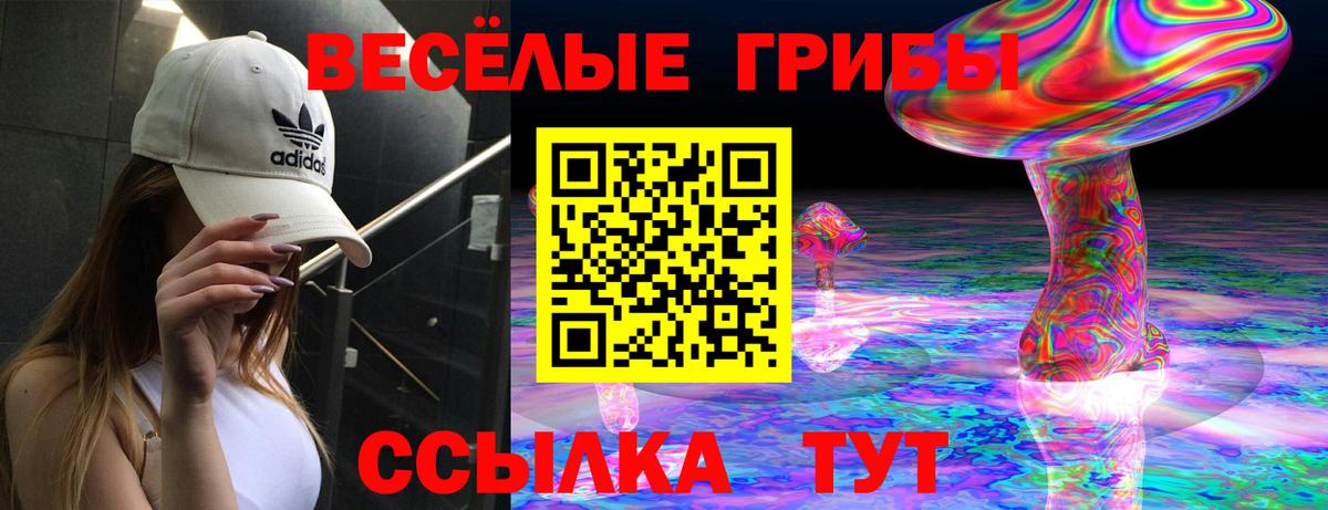 Галлюциногенные грибы прущие грибы Златоуст